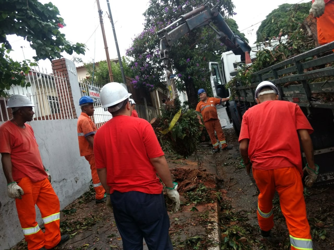 Sete funcionários da Subprefeitura Ipiranga vestidos com uniforme na cor laranja e capacete branco estão recolhendo restos de podas e galhos de árvores com o auxílio de um guincho